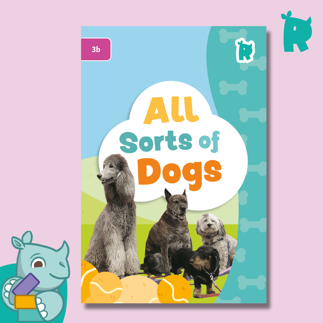 Allsorts dogs store