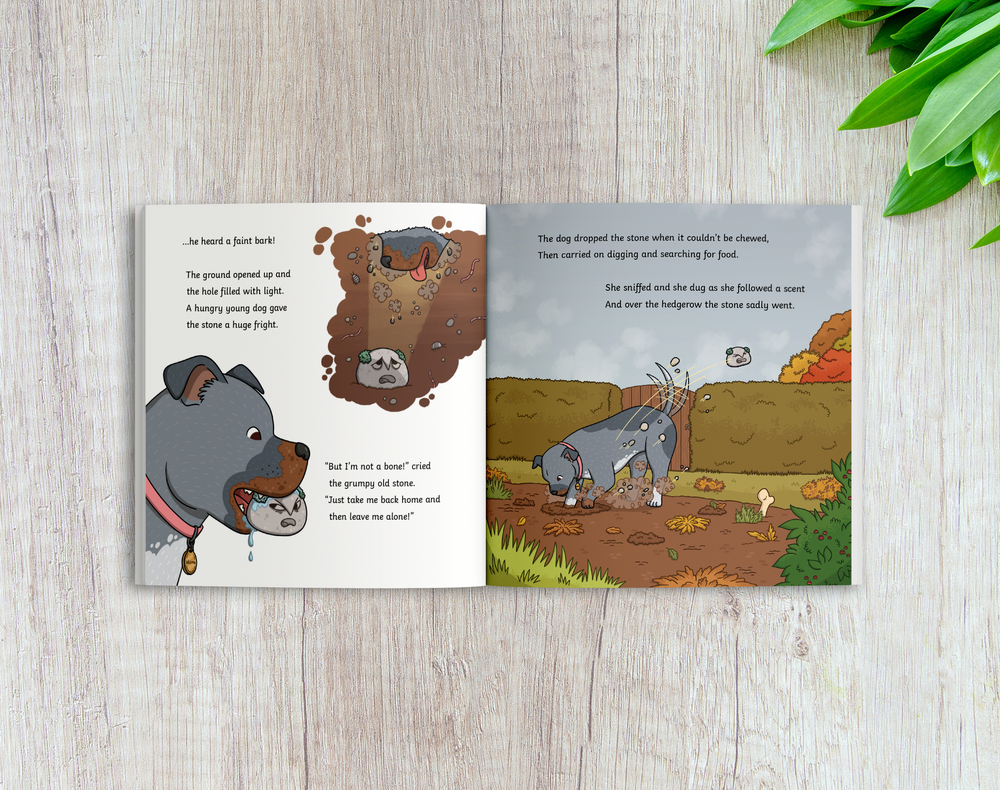 The Grumpy Old Stone (3-7) – Twinkl Educational Publishing