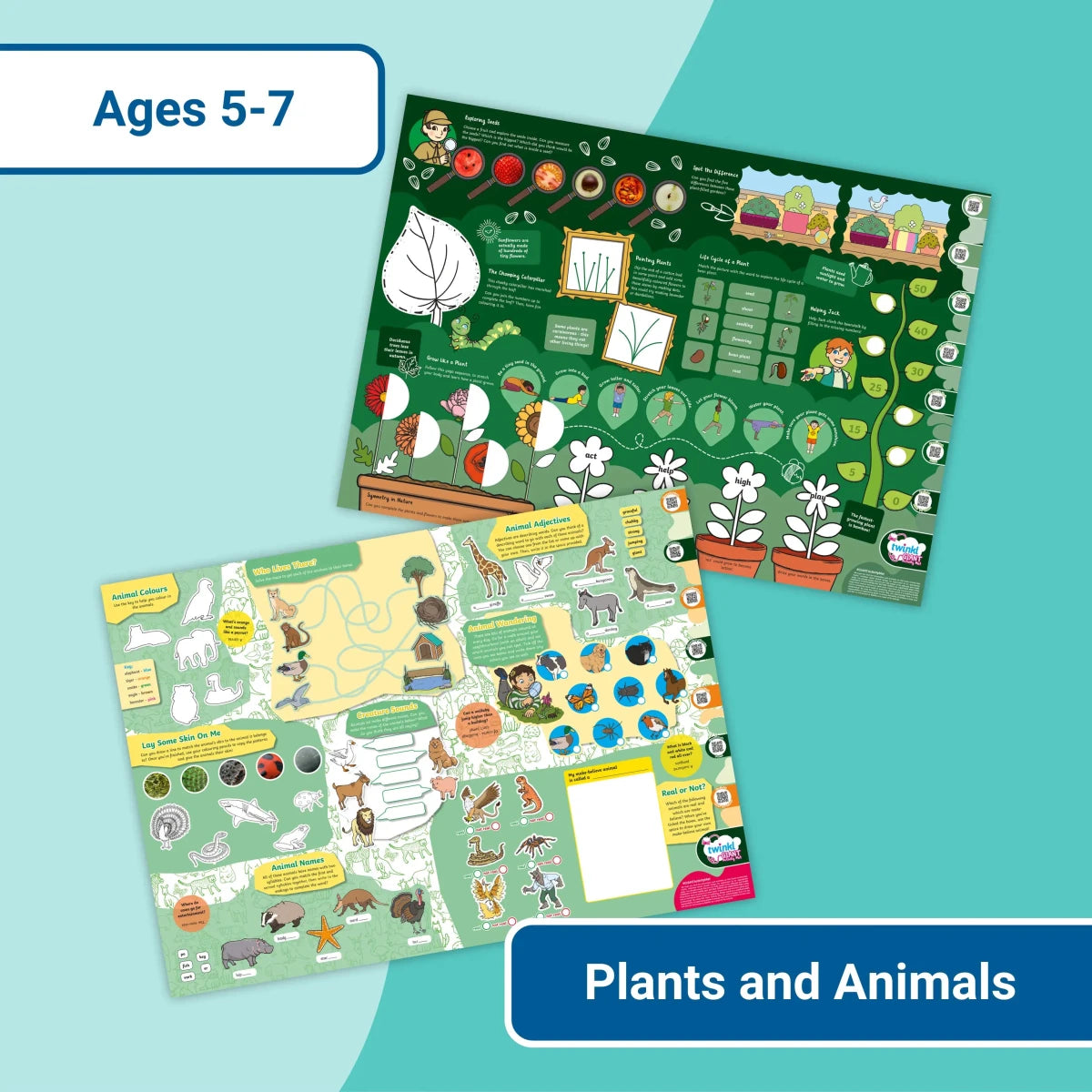 GIANT Activity Mats - Animals and Plants - Twinkl Educational Publishing