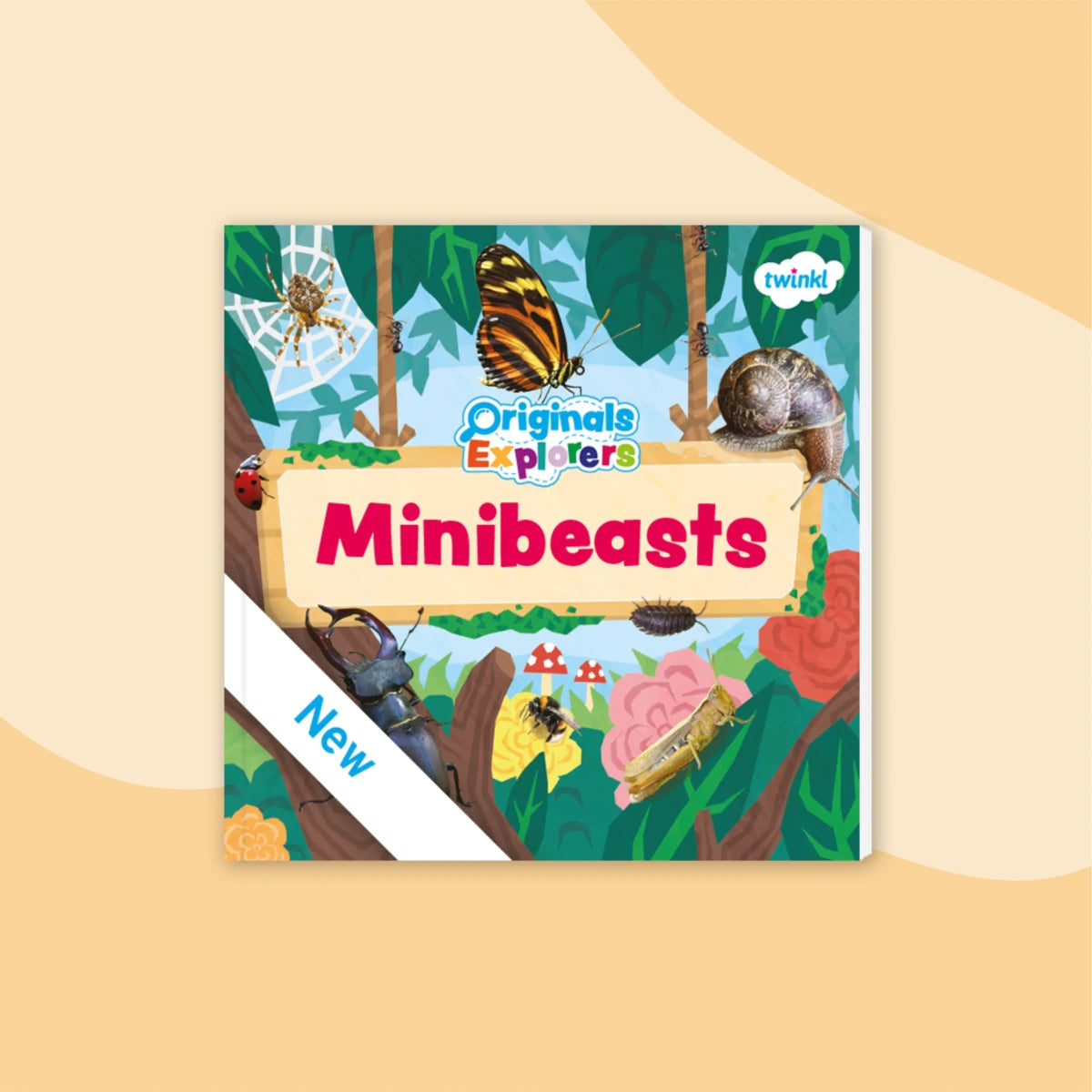 Originals Explorers: Minibeasts (3-7) - Classroom Pack - Twinkl Educational Publishing
