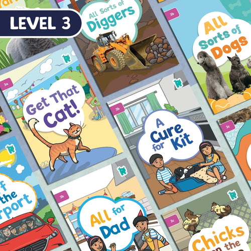 Twinkl Rhino Readers - Set of 18 Decodable Books - Level 3 - Twinkl Educational Publishing
