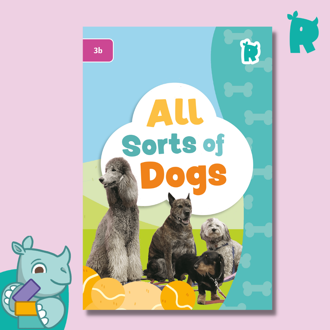 Twinkl Rhino Readers - All Sorts of Dogs (Level 3b)