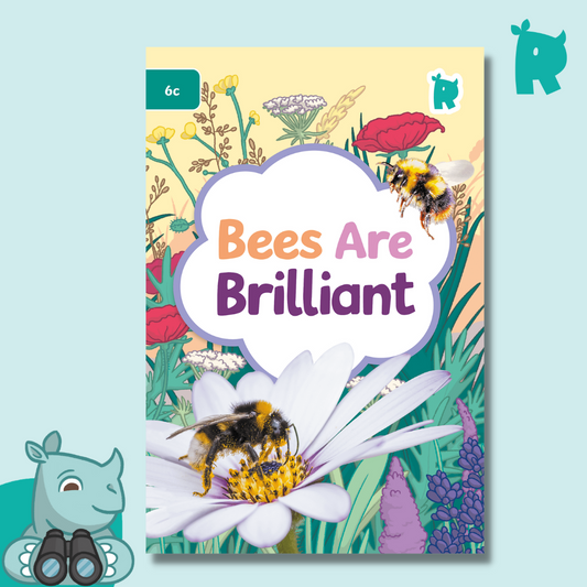Twinkl Rhino Readers - Bees Are Brilliant (Level 6c)
