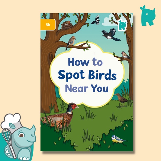 Twinkl Rhino Readers - How to Spot Birds Near You (Level 5b)