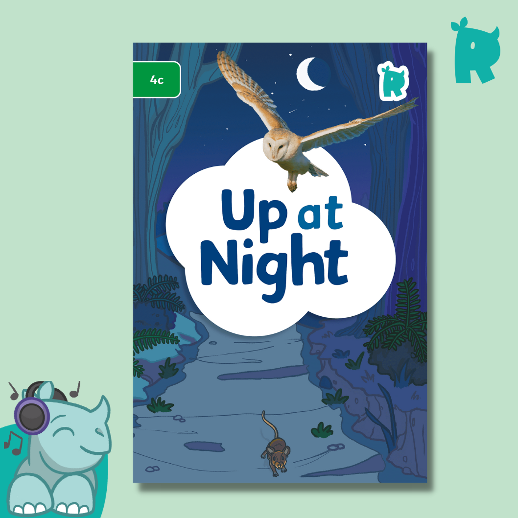 Twinkl Rhino Readers - Up at Night (Level 4c)