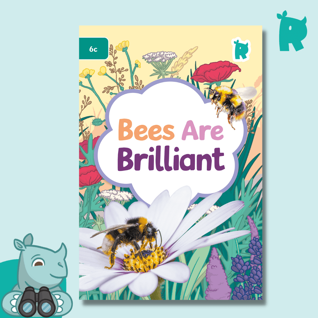 Twinkl Rhino Readers - Bees Are Brilliant (Level 6c) - Twinkl Educational Publishing
