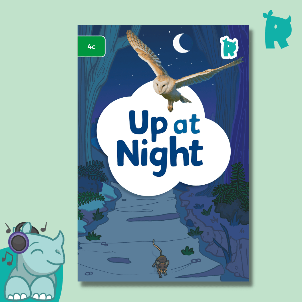 Twinkl Rhino Readers - Up at Night (Level 4c) - Twinkl Educational Publishing